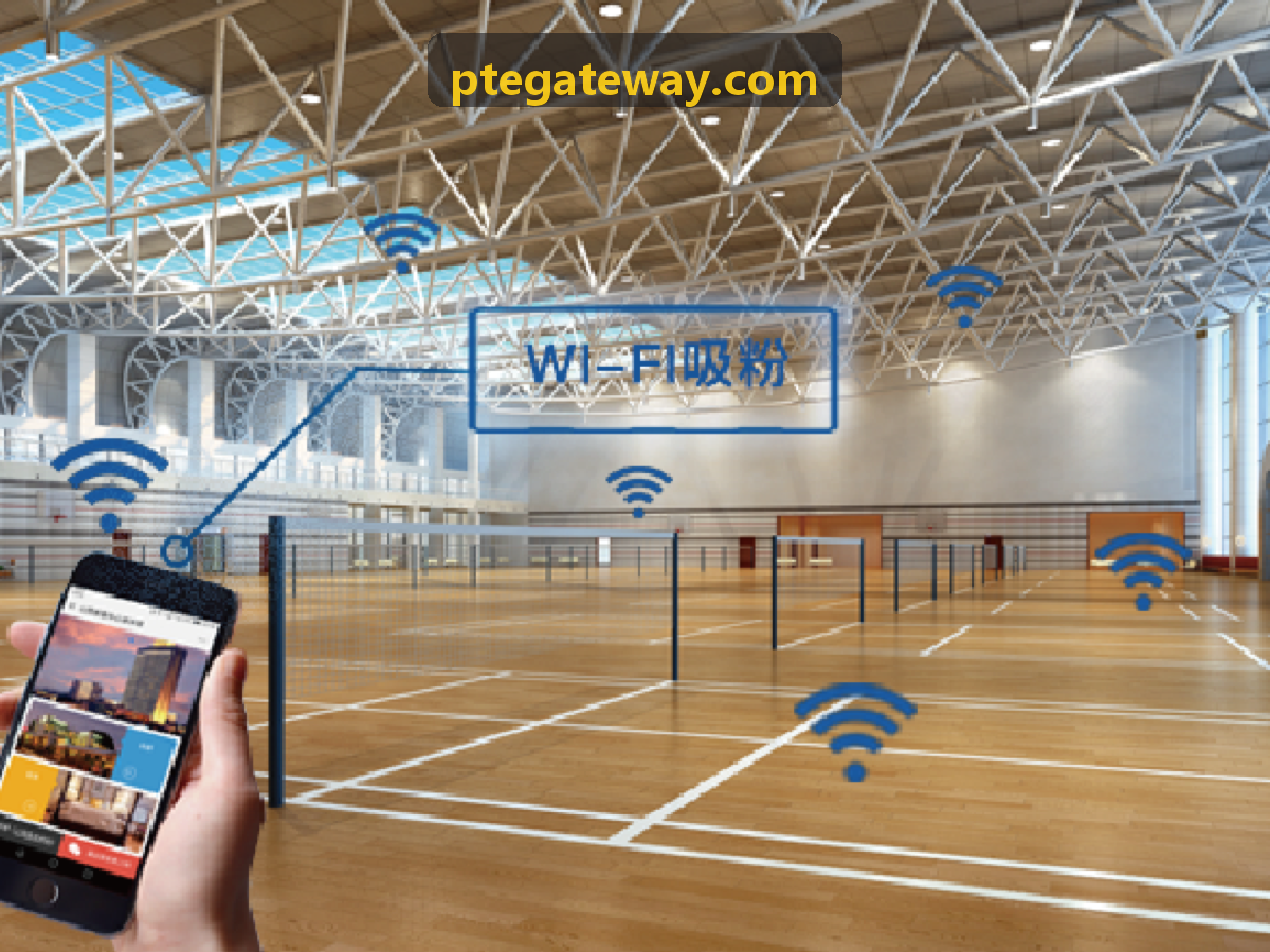PT电子算法架构全景图